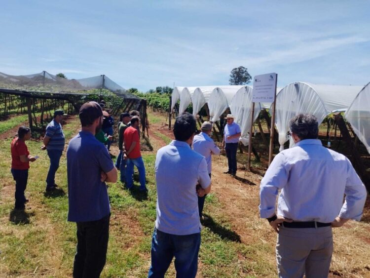 Marialva sedia Jornada Tecnológica em Fruticultura, buscando consolidar a fruticultura
