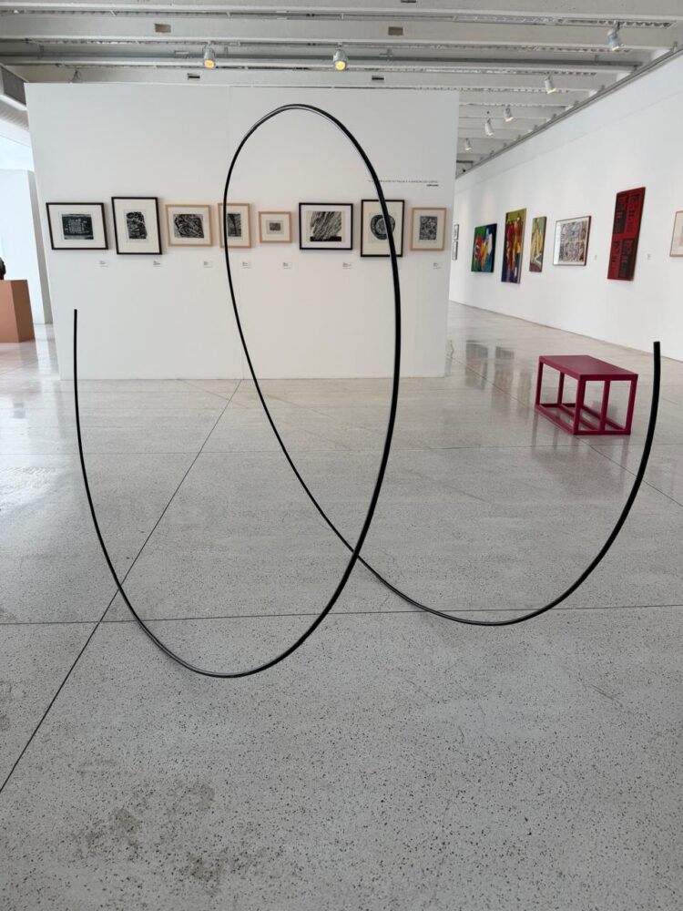 Maringá contará com um novo núcleo do Museu de Arte Contemporânea do Paraná (MAC-PR), que será inaugurado no dia 28 de maio, às 19h30, no Teatro Calil Haddad (Crédito: Tiago Valenciano/PMM)