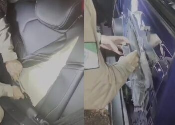 As canetas emagrecedoras estavam escondidas no estofado de veículo apreendido na PR-546