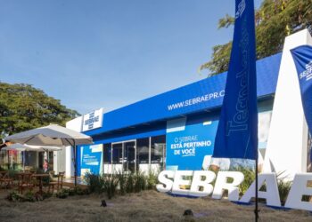 Sebrae oferece capacitação gratuita para fomentar inovação dos pequenos negócios