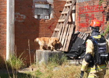 bombeiros do Paraná especializados em resgate vão ajudar a socorrer vítimas de terremotos na Venezuela