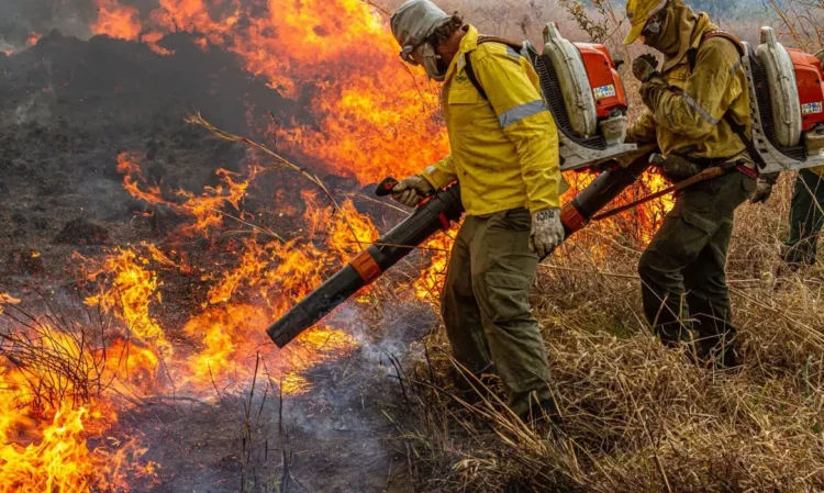 Lançada a campanha estadual de combate a incêndios florestais