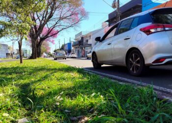 Em 2026, a Avenida Doutor Alexandre Rasgulaeff soma 80 acidentes (1,3%), com três vítimas fatais e 26 feridos (Crédito: Cristiano Martinez)