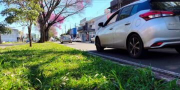 Em 2026, a Avenida Doutor Alexandre Rasgulaeff soma 80 acidentes (1,3%), com três vítimas fatais e 26 feridos (Crédito: Cristiano Martinez)