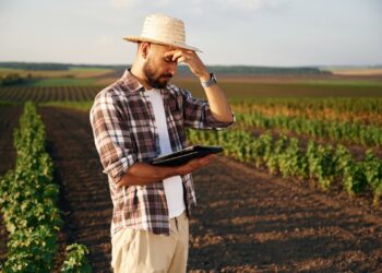 MP das Dívidas Rurais é regulamentada, mas produtores ainda enfrentam armadilhas na renegociação