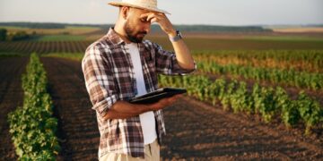MP das Dívidas Rurais é regulamentada, mas produtores ainda enfrentam armadilhas na renegociação