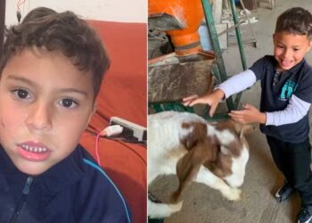 Menino autista que estava desaparecido é encontrado morto