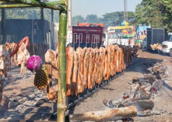 Ângulo prepara a Festa da Leitoa em Ângulo espera pelo menos 2 mil pessoas