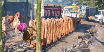 Ângulo prepara a Festa da Leitoa em Ângulo espera pelo menos 2 mil pessoas