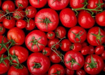 Tomate (-40,85%), batata-inglesa (-33,83%), cenoura (-31,57%), pepino (-19,43%) e lombo/paleta suína (-16,47%) influenciaram na queda em Maringá (Crédito: Ilustrativa/Magnific)