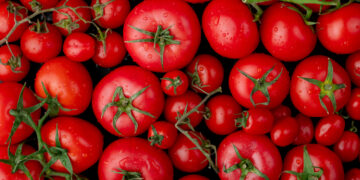 Tomate (-40,85%), batata-inglesa (-33,83%), cenoura (-31,57%), pepino (-19,43%) e lombo/paleta suína (-16,47%) influenciaram na queda em Maringá (Crédito: Ilustrativa/Magnific)
