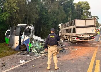 23 mortos em acidente na BR-323