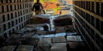 Mais de 4 toneladas de drogas são apreendidas pela PRF na PR-317