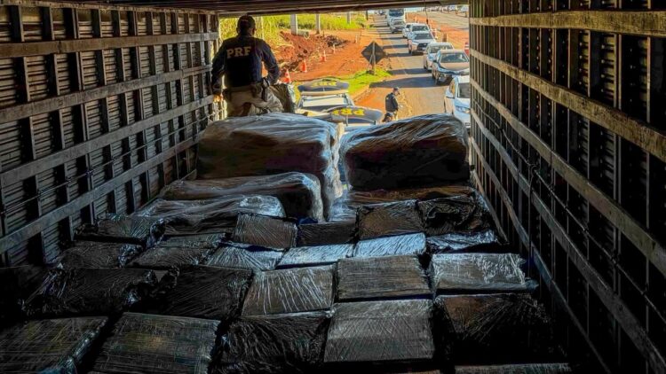 Mais de 4 toneladas de drogas são apreendidas pela PRF na PR-317