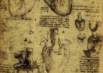 Coração desenhado por Leonardo Da-Vinci, o músculo do miocárdio opera em sístoles e diástoles.