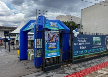 Foto: Altair Godoy/PMM