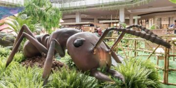 Exposição de insetos gigantes no Parque do Ingá começa dia 25