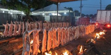 Ângulo assa 40 leitoas ao fogo de chão em sua festa de aniversário