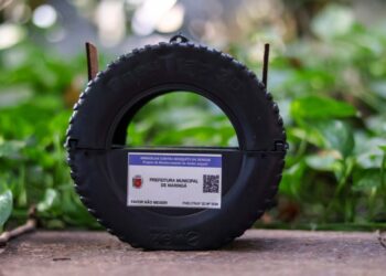 Pneutrap: nova tecnologia no combate à dengue começa a ser instalada pela Prefeitura de Maringá
