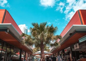 Creators Day Maringá evento que conecta criadores de conteúdo a negócios locais