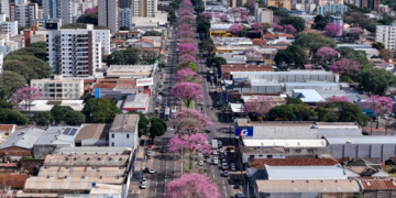 FOTO: Rafael Macri/PMM