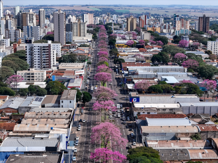 FOTO: Rafael Macri/PMM