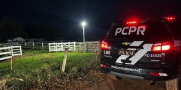 Operação policial visa prender abigeatários que furtaram mais de 2 mil cabeças de gado na região