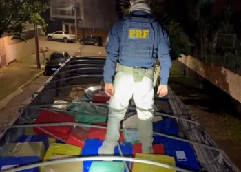 6,8 toneladas de maconha são apreendidas na BR-376 pela PRF