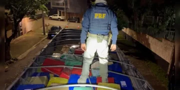 6,8 toneladas de maconha são apreendidas na BR-376 pela PRF