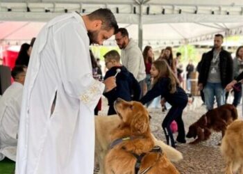 Paróquia São Francisco de Assis promove a Festa da Criação e bênção dos animais