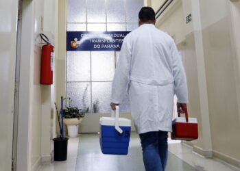 Crédito: Arquivo/AEN-PR