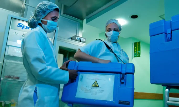 Recusa de doação de órgãos por familiares no Brasil ainda é de 45%