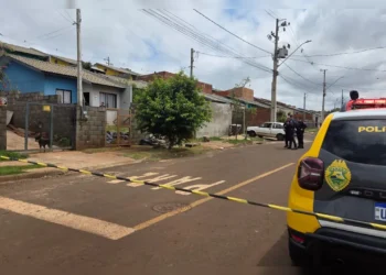 pit bull mata criança de 8 anos em Apucarana