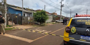 pit bull mata criança de 8 anos em Apucarana