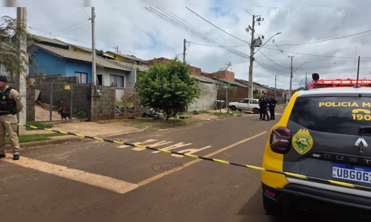 pit bull mata criança de 8 anos em Apucarana