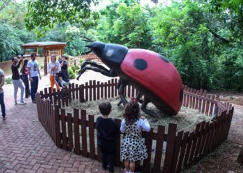 Insetos gigantes são atração na Primavera Encantada do Parque do Ingá