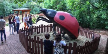 Insetos gigantes são atração na Primavera Encantada do Parque do Ingá