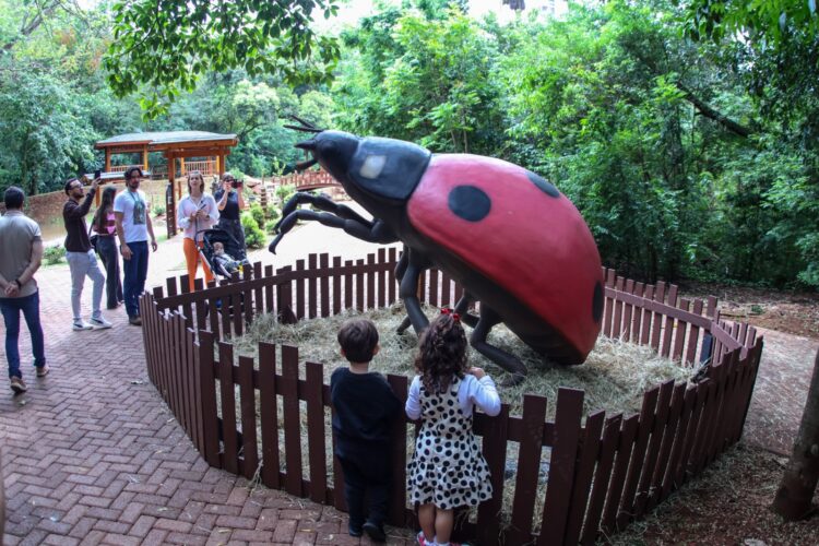 Insetos gigantes são atração na Primavera Encantada do Parque do Ingá