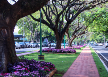 Foto:  Rafael Macri/PMM