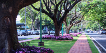 Foto: Rafael Macri/PMM