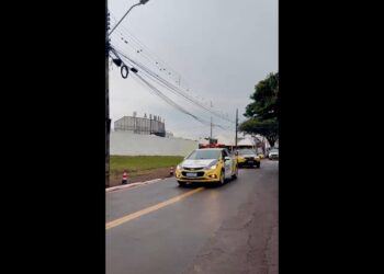 Crédito: Reprodução