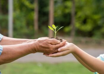 Paraná sedia evento global de sustentabilidade