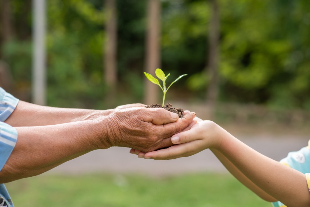 Região: Paraná sedia evento global de sustentabilidade