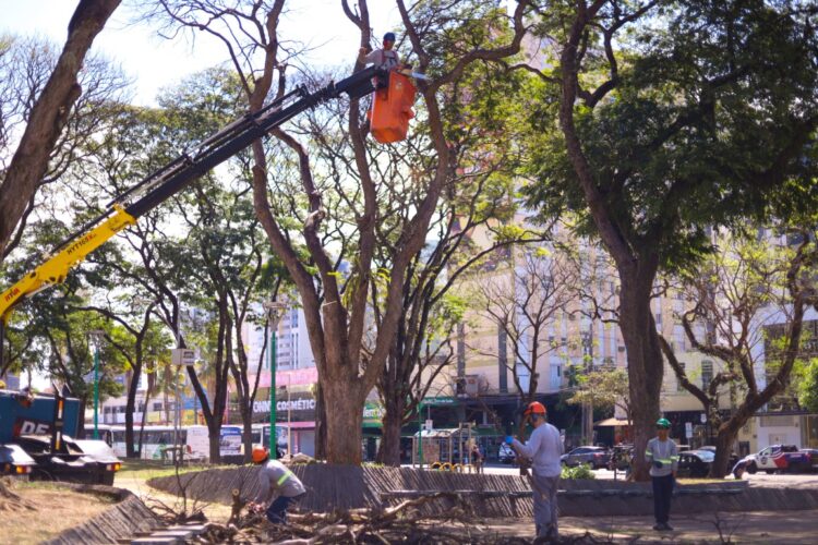 Prefeitura contrata empresa para manejo, com foco em dar celeridade a demandas da população