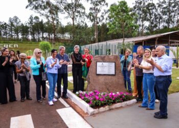 Novo Centro de Bem-Estar Animal de Maringá amplia oferta de acolhimento e cuidados a pets vítimas de maus-tratos