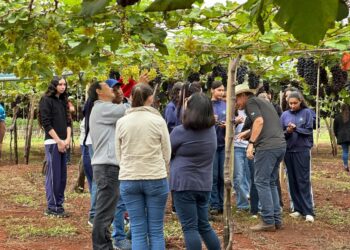 Programa de microcrédito rural, da Fomento Paraná, beneficia as mulheres do campo