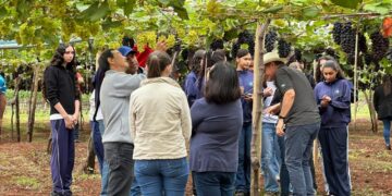 Programa de microcrédito rural, da Fomento Paraná, beneficia as mulheres do campo