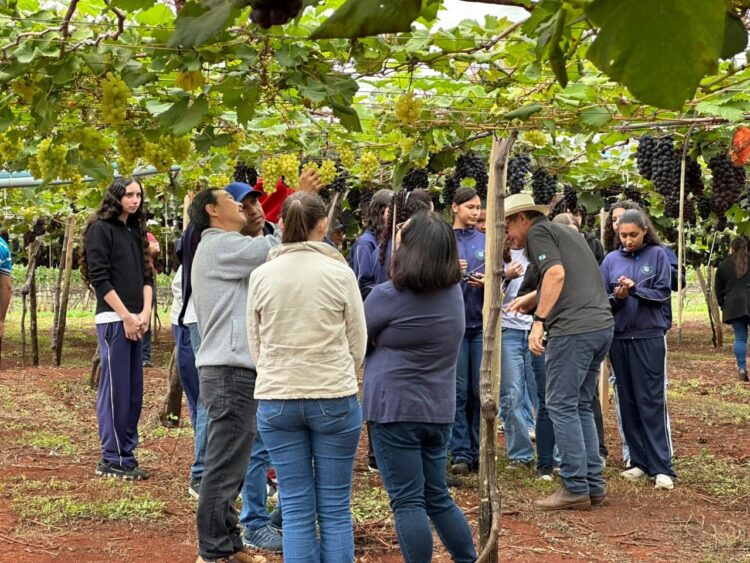 Programa de microcrédito rural, da Fomento Paraná, beneficia as mulheres do campo