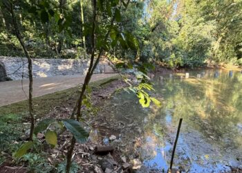 Duas novas nascentes aparecem no lago do Parque do Ingá