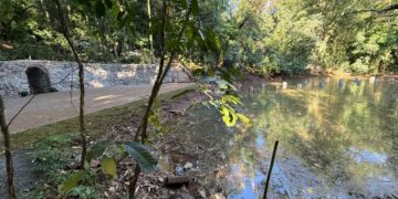 Duas novas nascentes aparecem no lago do Parque do Ingá